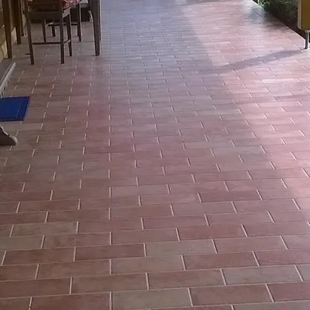Allaolla *