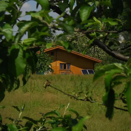 Allaolla